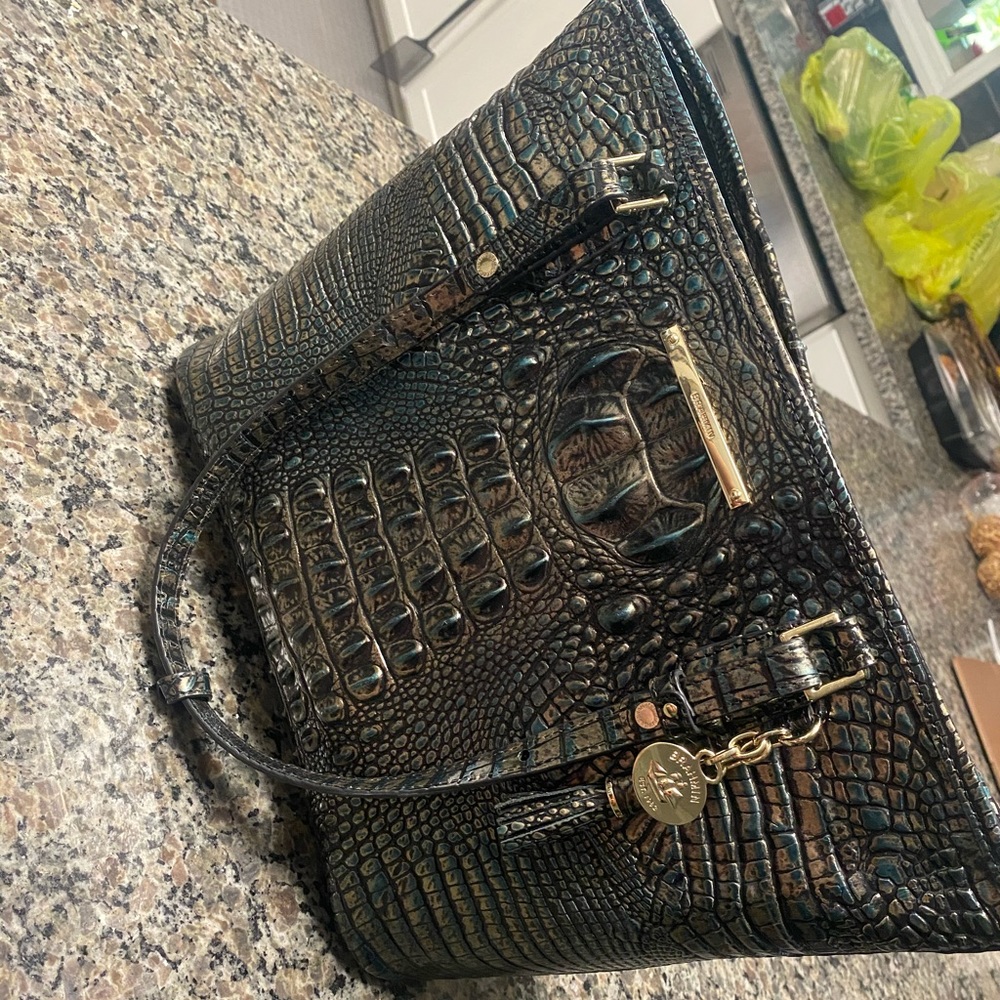 Brahmin purse